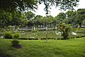 Japanese Garden at Rizal Park