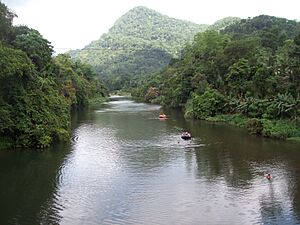 Kelani Ganga - panoramio (5)