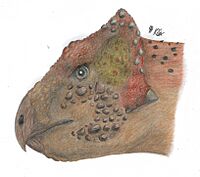Kulceratops.jpg