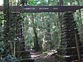 Lamington NP 1 Stevage