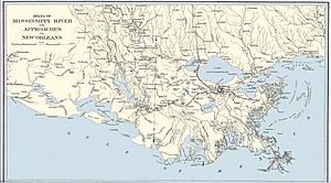 Lower Mississippi River Map