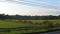 Lower Shawneetown District in Lewis County