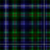 Loyal Clan Donnachie Volunteers (Robertson Hunting) tartan, centred, zoomed out.png