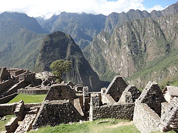 Machu Picchu LB11.JPG