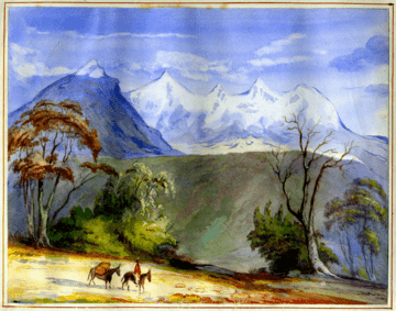 Manuel María Paz (watercolor 9050, 1853 CE).png