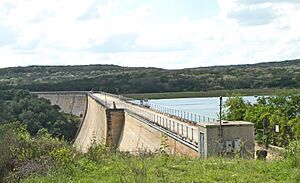 Medina dam 2010
