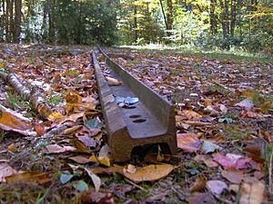 Middle-prong-trail-tennessee