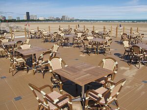 Montrose Beach Patio Deck 2452