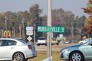 Murrayville North Carolina Road Sign