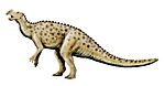 Muttaburrasaurus NT.jpg