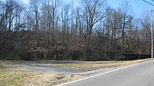 Nelson's Greenbrier Distillery site
