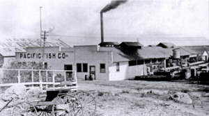 Pacific Fish company Monterey 1909