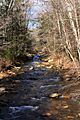 Painter Run looking upstream near its mouth 1