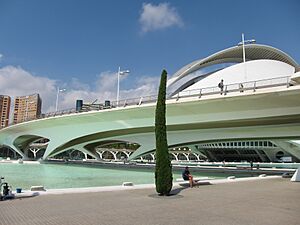Palacio de las artes reina sofía - panoramio