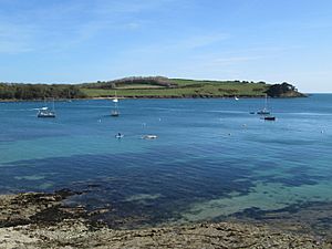 Percuil River estuary from St Mawes