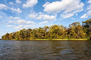 Presquile National Wildlife Refuge (11738518575)