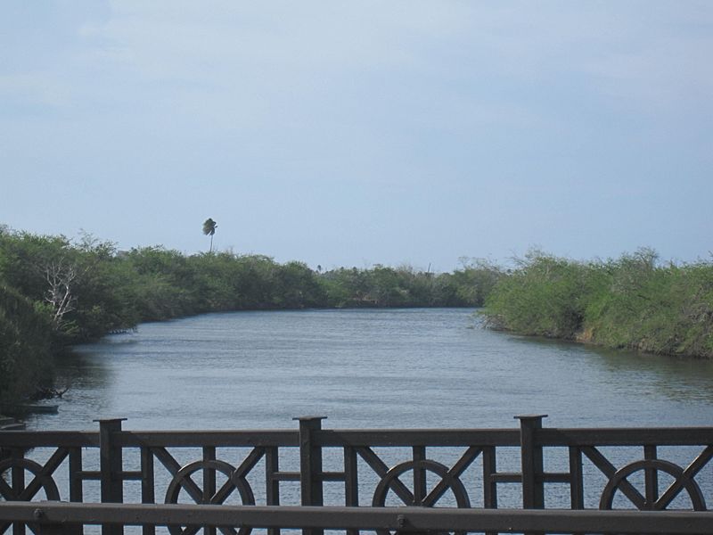 Río de la Plata from Calle Méndez Vigo in Dorado, Puerto Rico