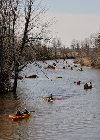 Raisin River Canoes.jpg
