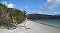 Recherche Bay near Cockle creek