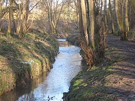 River Grom and footpath in Friezland Wood - geograph.org.uk - 1736847.jpg