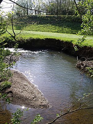 River Lew - geograph.org.uk - 431416
