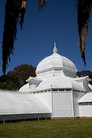 San Francisco Conservatory of Flowers-20