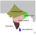SaxicoloidesFulicatusMap