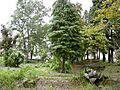 Seattle - Black Property 03