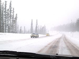 Snowy Road (30125106)