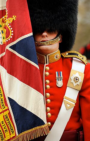 Soldier from No7 Company Coldstream Guards With Regimental Colours MOD 45152569