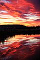Spectacular sunset at a pond in 100 Mile House (7959677940)