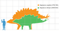 Stegosaurus armatus scale