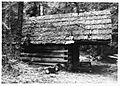 Swamp Meadow Cabin east