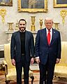 The White House - 54452215186