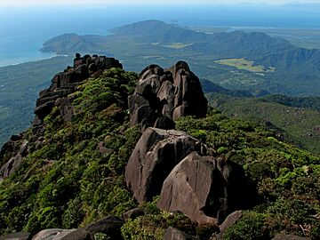 Thornton Peak, Daintree National Park.jpg