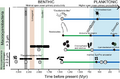 Timing and trends in cell diameter, loss of filamentous forms and habitat preference within cyanobacteria.webp