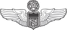 USAF Master Astronaut badge.jpg
