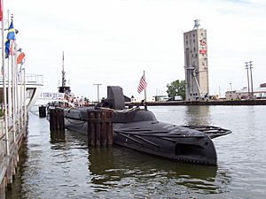 USSCobia2006