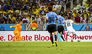 Uruguay - Costa Rica FIFA World Cup 2014 (15)