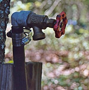 Water spigot
