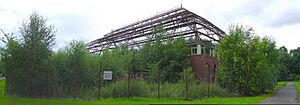 Winter Gardens, Springburn Park, Glasgow - geograph.org.uk - 926232