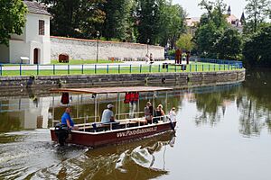 České Budějovice Czech-Republic-Rene-Cortin