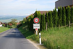 2014-05-20-Yverdon (Foto Dietrich Michael Weidmann) 282
