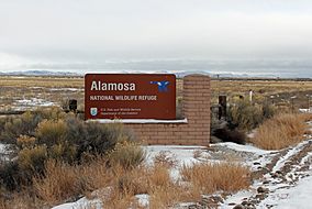 Alamosa National Wildlife Refuge.JPG