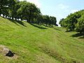 Antonine Wall at Seabegs Wood - geograph.org.uk - 930380