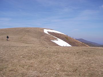 Appalachian Trail crosses the grassy bald area atop Max Patch Mountain.jpg