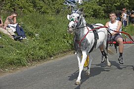 Appleby horse fair, 5th june