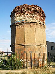 Argavand Tower Back