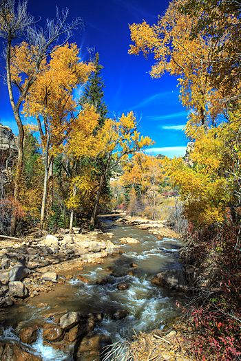 Autumn colours in SW Utah - spectacular colours along Huntington Creek on Hwy 31, Utah (15630237506).jpg