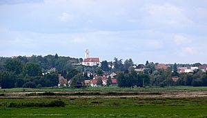 Bad Buchau Kappel Blick von Oggelshausen.jpg